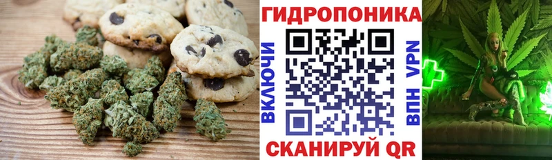 Canna-Cookies марихуана  Шенкурск 