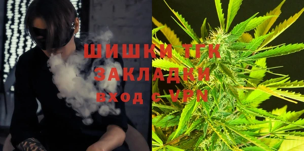 сатива Алексеевка