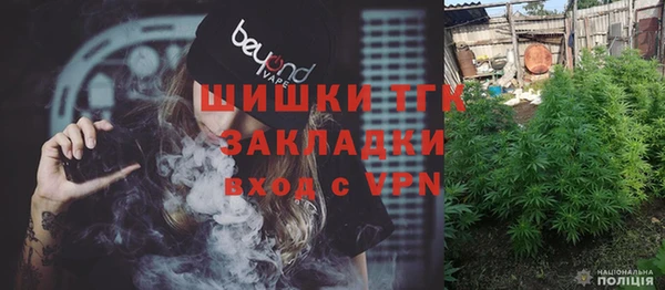 индика Абдулино