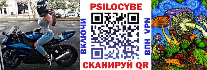 Галлюциногенные грибы Psilocybine cubensis  Шенкурск 